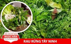 Rau rừng tây ninh